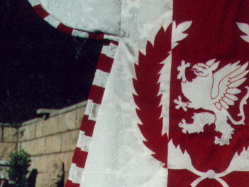 Part of a red and white tabard showing a griffin inside a laurel wreath